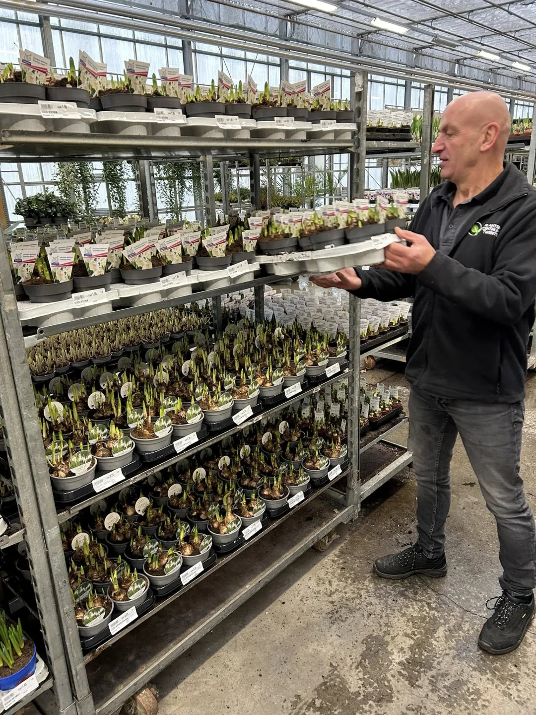 Planten Centrum Twente - Medewerker tussen de kamerplanten